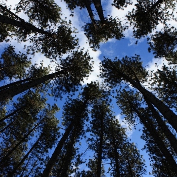 Test - Picture 1 of 1